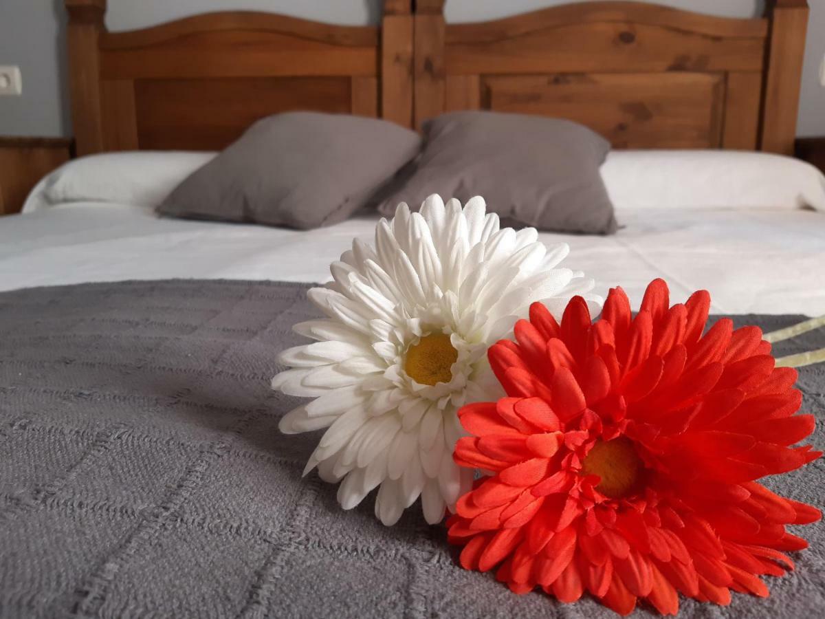 Hostal El Rincon De La Vera 罗萨蒂拉维拉 外观 照片